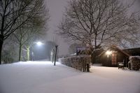 _IMG8695.jpg